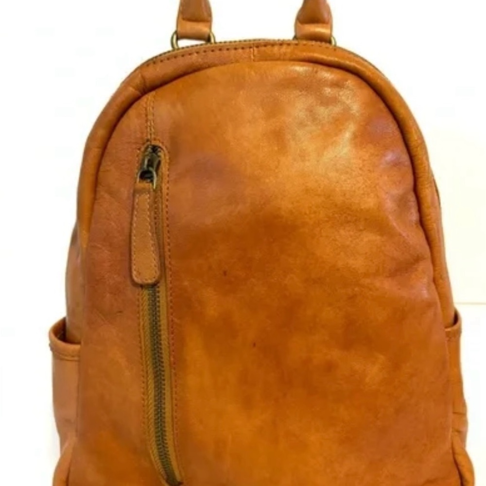 C&C California Brown Leather Backpack